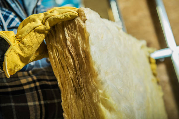 Best Specialty Insulation in Schriever, LA