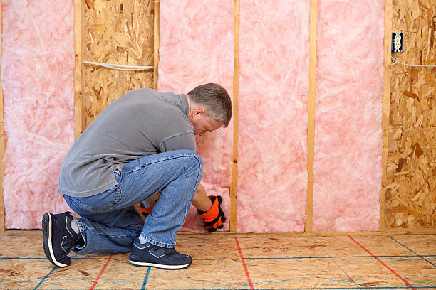 Best Insulation Installation Services in Schriever, LA